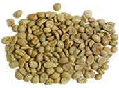 MATCHA GREEN TEA