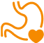Support Gut Health
